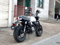 중고오토바이매입 2024년식 혼다 몽키125ABS 4200KM [몽키바이크] : 몽키바이크