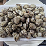 [중동 당일배송·전국택배] 꼬막 2kg : 중동사랑시장그린수산