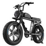 26년형 엑스라이더 X200 Pro SL LG 배터리 자토바이 광폭 팻바이크 전기자전거 : 109전동마켓