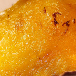 2025년산 숙성된 해남 꿀고구마 3kg 5kg 10kg 백제농장 오화섭 : 해남고구마생산자협회