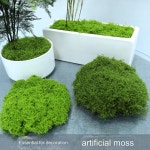 이끼 DIY 공예 인공 잔디 인조 보존 녹색 식물 집 방 정원 장식 미니 풍경 1개 DARK GREEN 30g : 가온트레이더스