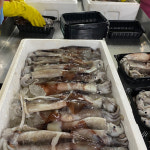 [위닝파트너스] 급냉 통찜용 오징어 1kg 7미-8미 : 위닝파트너스