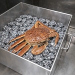 더다올 맥반석 돌 3kg 캠핑 구이용 맥반석돌 베이킹스톤 정수 수경재배 : The 다올