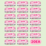 동아참메드 이디와입스 플러스 병원용 환경소독티슈 100매, 20팩 : 케어라인스토어