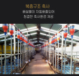 국내 최대 흑염소 농장 초방리 흑염소 고기 1kg 염소 불고기 수육 탕 : 주식회사 초방리흑염소
