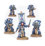 비비스타디움TheCQB | SPACE MARINES: STERNGUARD VETERAN SQUAD : 비비스타디움 편집샵
