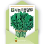 으뜸열무 20g 열무김치용 부드러운 잎 상품성 좋은 씨앗 모종 텃밭 다농 우리농약종묘사 : 우리농약종묘사