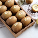 국내배송 26년 설 선물 제스프리 제주 골드키위 선물세트 2.7kg 20입 : 러블리트윈즈