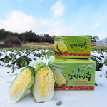 해들팜스 해남 절임배추 5kg 품질좋은 땅끝 해남 신선한 김장 절인배추 : 해들팜스