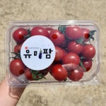유미팜 (광주광역시) 산지직송 샛별 방울토마토 특1kg, 특2kg : 유미팜 가지농장