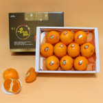 프리미엄 고당도 천혜향 선물세트 2kg, 1개 : 석희 농장