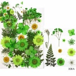 팔탸 상품명이 제공되지 않았습니다 수공예꽃재료 테코파츠 장식용압화 : 팔타상점