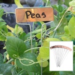 발코니 꽃과 채소용 라벨 정원 말뚝 태그 10개 : 코어마켓샵