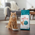 로얄캐닌 캣 에이징 15+ 2kg 초고령묘 노묘 사료 기력 회복 뇌건강 케어 : 아지유통