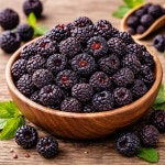 [천지원]국내산 복분자 말린복분자 300g : 천지원 농산물