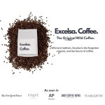 그린 커피 원두 U2013 엑셀사 베트남 로스팅되지 않음 1파운드 등급 건조 카페인 희귀 : 럭사르