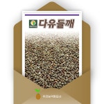 다유들깨 20g 유지 함류량이 높고 착유량이 많은 들깨씨앗 다농 우리농약종묘사 : 우리농약종묘사