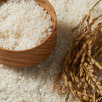 [내손으로 직접 막걸리 만들기] 복순도가 막걸리 브루잉 키트 [Makgeolli Brewing Kit] : 복순도가