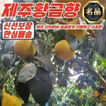 제주 프리미엄 황금향 가정용 1kg 중과 5-6과 내외 따사로운남자 : 따사로운남자