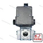 가스 솔레노이드 밸브 버너 부품 DUNGS 동시 보일러 코일 MVDLE205 207 NR : 다이렉트스토어10