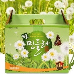 하얀민들레즙 건강차 흰민들레 차 즙 100ml 60포 : 네게브