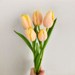 헬로우조이풀 망고 튤립 생화 꽃다발 5송이 온라인꽃집 : 헬로우조이풀