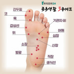바리조아24 족욕생활 3종세트 발건강 피로회복 활력을 부탁해 : 쌍둥이아빠 스토어