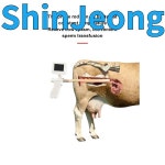 품질보장 납품전문 휴대용 시각적 인공수정 - 소와 말의 위한 수의학 장비 : 신정종합상사S19