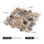 페블브릿지 (pebblebridge) | 페블 타일, 30.5 x 30.5cm(12 12인치) 욕실 주방 백스플래시 샤워 바닥 및 벽 장식용 스톤 - 내구성 있는 방수 쉬운 설치 5개 : 메가브릿지...