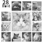 원컬러 도트 페인팅 동물 WD-j0372 ~ j0399 40x60cm : 내장소소온