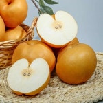 신고 배 15kg(26-30과) 상 과일배 선물용배 : 꿈의하우스