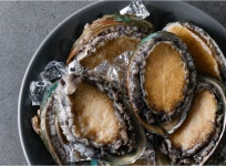 완도산 국산 활전복 대 12미 산지직송 명품 전복선물세트 +세척솔포함 : 관악일자리행복주식회사