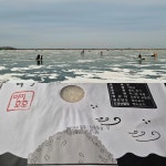 강화섬쌀 2025년 햅쌀 백미 5kg 소포장 주1회 도정 : 미미호호