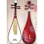 민족 비파악기 성인 시험 전용 연주 초보자 쉬운 배우기 입문 강좌 아동 기본 소면 : 디벨로12