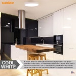 SUNLITE 05021 FC16T9 CW T9 원형 형광 램프 40와트 2600루멘 12 Pack 4100k Cool White : 리비온1