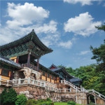 [누비투어] 경주 불국사 석굴암 도슨트 투어 : 누비 투어