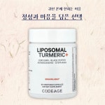 코드에이지 리포좀발효강황 커큐민 리포소말터메릭플러스 캡슐 보스웰리아 90정, 3개 : 본네스트
