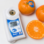 항공직송 미국산 감귤 고당도 만다린 1kg, 2kg, 3kg, 5kg : 잇슈농장