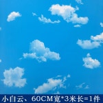 자체 접착 방수 푸른 벽지 거실 하늘 3D 스티커 구름 침실 blue sky clouds X58CM : 이너픽