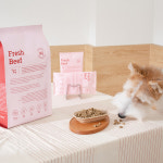 본아페티 플러스 프리미엄 기능성 수제사료 활력+종합기능성, 1kg, 1개 : 본아페티