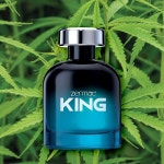 제르마트 킹, 남성용 향수, 허브 - 우드시 향 3 38 Fl 오즈 : 베스트NY