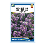 알릿섬(로얄카펫) 100립 다농 씨앗 종자 화초 꽃 심기 키우기 화단 정원 원예 : 풍곡영농자재