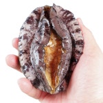[특판] 흑산도전복 바다에서 바로 포장 생산자직배송 활전복 1kg : 낭만홍어 수영수산