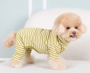 베이직 DE 스트라이프 올인원 강아지 반려견 목폴라 신축성 골지 실내복 외출 산책복 : 제이엠상회