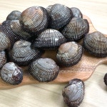 [퐁당테이블] 산지직송 제철 피꼬막 2kg (25미 내외) 활꼬막 왕꼬막 꼬막무침 횟감 찜구이 : 퐁당 테이블