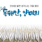 동해안 생물 급냉 양미리 1두름 20미 600g 내외 제철 : 위닝파트너스