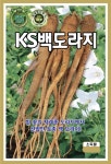 KS 백도라지 30g 재래종 도라지 선발 토종 백도라지 씨앗 씨 국내생산 종자 : 장보고팜
