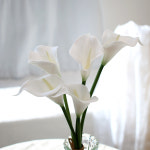 내추럴 카라 가지 번들 생화같은 촬영소품 웨딩 부케 감성 인테리어 소품 달리베리 : 달리베리