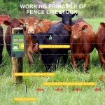 12KM 고전압 전기 울타리 에너자이저, 목장 동물 보호, 가축 농장 소 방지, 12V 태양광 배터리 전원 : 더베러커머스