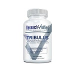 연구 검증 트리불 테레스트리스 1500mg 95 퓨로스타놀 사포닌 5 바이오페린 60캡슐 1병 : 직구스퀘엇